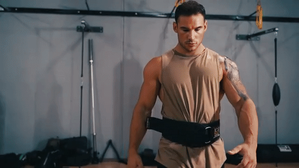 Weight Lifting Belt